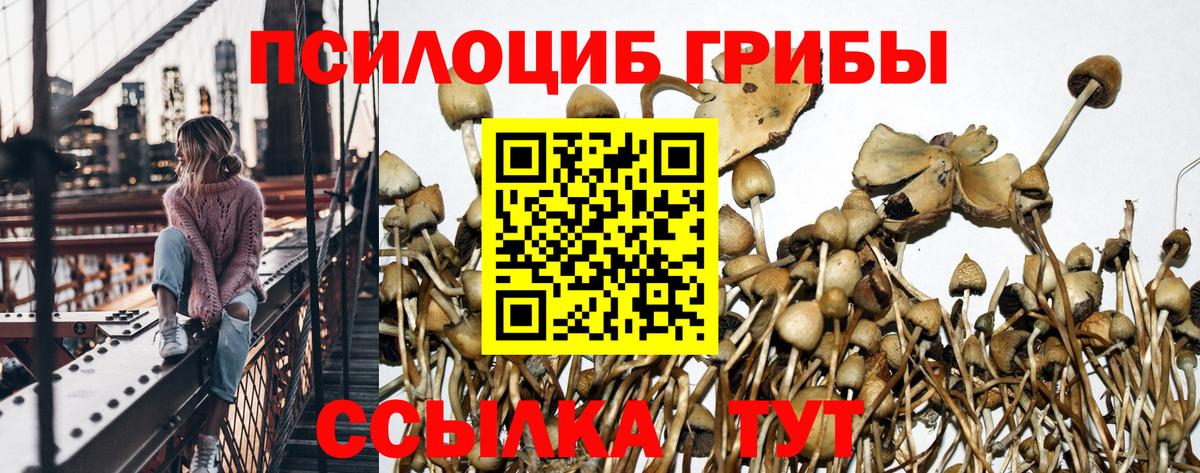Галлюциногенные грибы MAGIC MUSHROOMS Нижний Тагил