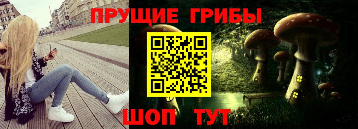 Галлюциногенные грибы Magic Shrooms  Вход с VPN  Галлюциногенные грибы MAGIC MUSHROOMS  Нижний Тагил 
